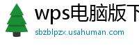 wps电脑版下载